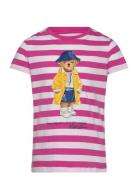 Striped Polo Bear Cotton Jersey Tee Pink Ralph Lauren Kids