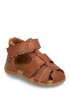 Sandals - Flat - Closed Toe Brown ANGULUS