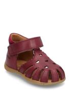 Sandals - Flat - Closed Toe Red ANGULUS