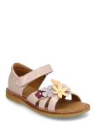 Sandals - Flat - Open Toe - Clo Pink ANGULUS