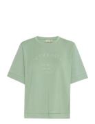 Fraurora Tee 1 Khaki Fransa
