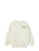 Monti Cream Molo