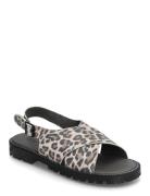 Sandals - Flat - Open Toe - Op Patterned ANGULUS