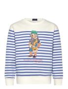 Yd Graphic Fleece-Po Cn-Kn-Sws Blue Ralph Lauren Kids