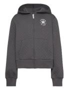 Cnvg Star Pointelle Full Zip H Grey Converse