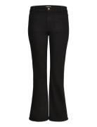Flare Black Wrangler