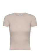 Core Rib Tee Beige Organic Basics