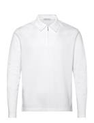 Laron Ls White Tiger Of Sweden