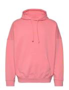 Surf Club Hood Pink Nikben