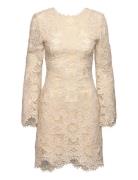 Imani Guipure Lace Mini Dress Cream Malina