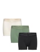 Xb-Boxer/Brief Patterned Converse