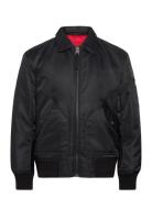 Balamo2531 Black HUGO