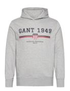 Graphic Hoodie Grey GANT