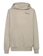 Hooded Sweatshirt Beige Champion