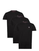 Vin 3 Pack T-Shirt Massimo Men Brown VINSON