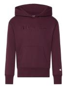 Hooded Sweatshirt Burgundy Champion