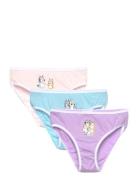 Slip,Culotte Patterned Bluey