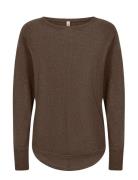 Sc-Dollie Brown Soyaconcept