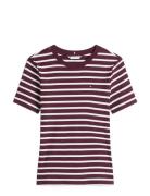 Slim Cody C-Nk Ss Burgundy Tommy Hilfiger