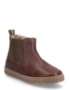 Bisgaard Phillip Lamb Brown Bisgaard