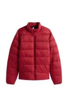 Mid Weight Stand Collar Jkt Red Tommy Hilfiger