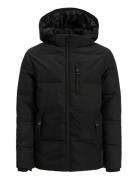 Jjeowen Puffer Sn Jnr Black Jack & J S