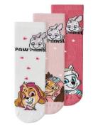 Nmfjippy Pawpatrol 3P Sock Cplg Patterned Name It