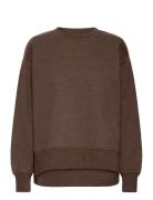 Iholinne Sw Brown ICHI