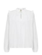 Sc-Netti White Soyaconcept