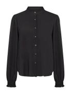 Sc-Radia Black Soyaconcept