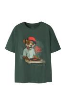 Nkmnova Ss Nreg Top Box Green Name It