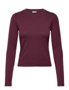 Everyday Regular Long Sleeve Tee Burgundy Organic Basics
