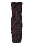 Lavinia Dress Brown Noella