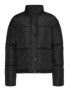 Frebba Ja 1 Black Fransa