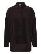 Frcory Sh 3 Brown Fransa