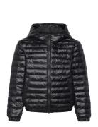 Shiny Light Padded Jacket Black GANT