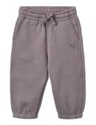 Sweatpants Cruz Purple Wheat