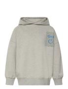 Tnpatrick Os Melange Hoodie Grey The New