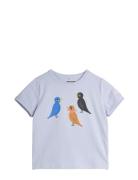 Birds Sp Ss Tee Purple Mini Rodini