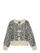 Knitted Spotty Cream Indian Blue Jeans