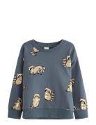 Sweatshirt Racoon Blue Lindex