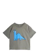 Dino Sp Ss Tee Grey Mini Rodini