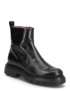 B S 05 Black Wonders