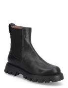 Goodfly 11 Black Wonders