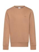 Sweatshirt Beige BOSS