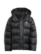 Down Jacket Black Adidas Originals