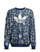 Crew Blue Adidas Originals