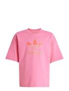 Trefoil Tee Pink Adidas Originals