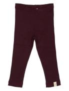 Legging Modal Burgundy Petit Piao