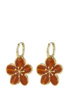 Calista Enamel Earring Brown/Gold Gold Bud To Rose